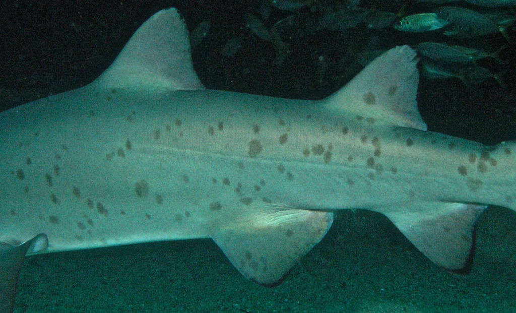 8b032309-2140-4339-b047-931678aefe75