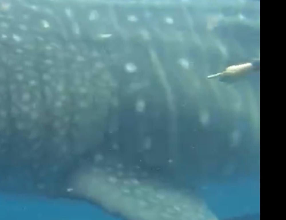 26c4fda2-1948-4a37-97bd-52d976bf41a8