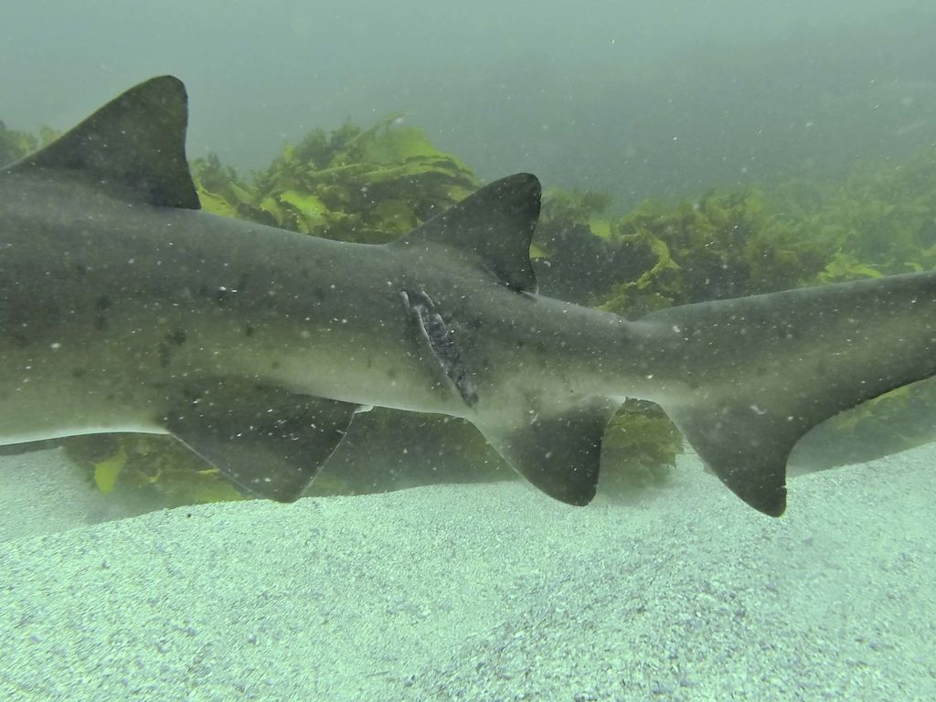 639ce012-020a-4eed-9fe6-807d4d3a05f1