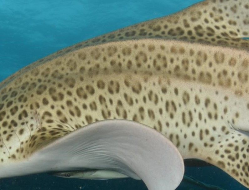 f3fe28a0-2b78-417d-8b0a-1579d7d6fe57