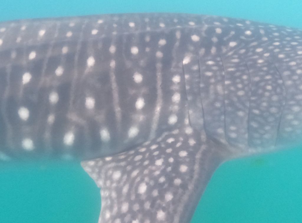 72ad7b8b-3e22-429d-a319-abc4d579accb