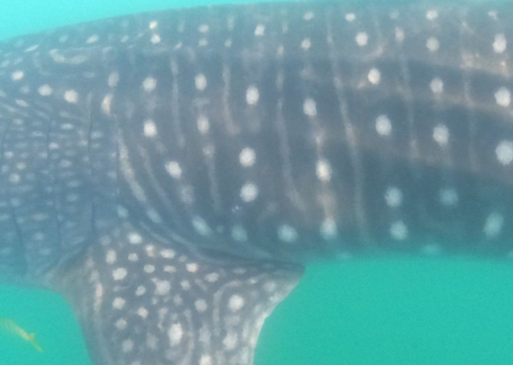 72ad7b8b-3e22-429d-a319-abc4d579accb