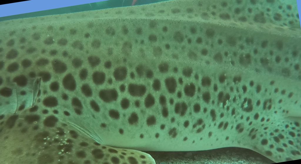 780d76c9-db83-4150-8a8a-c9e99c464ce2