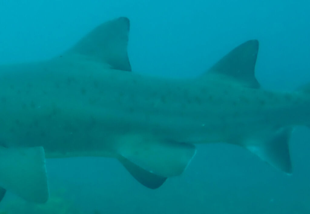 cc8b6016-dbcd-4d7f-8ddc-cfee72bd5220