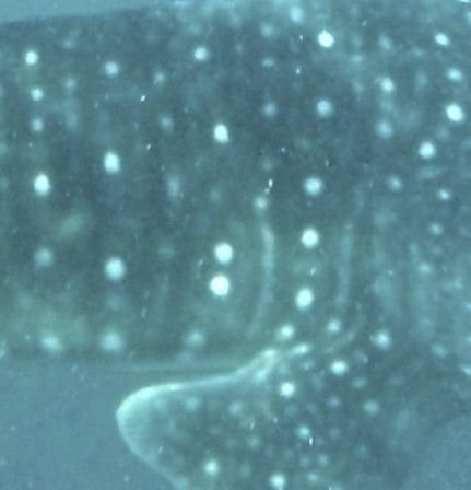 3875d8ae-fae4-408a-a3de-9e55092dec82