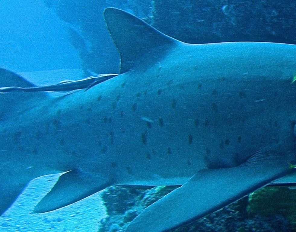 5708f6e2-5e54-4436-8475-027466d73a47