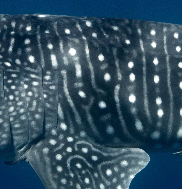 e65aeb3f-6582-4292-acc0-a4c36bb42e6c