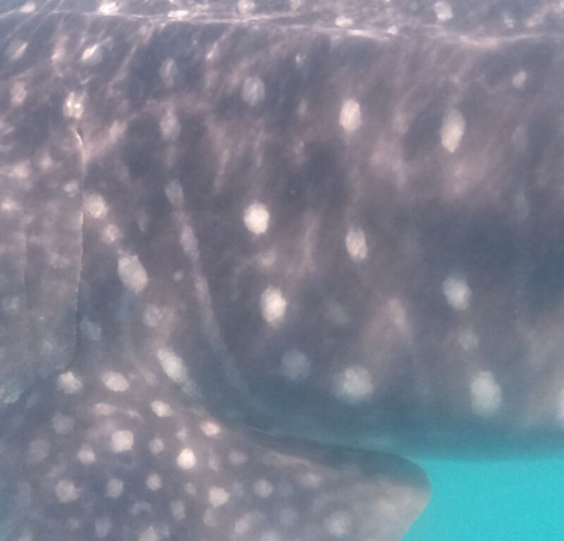 03d7b3fe-6711-4ce0-9ab8-e16e1cd75835