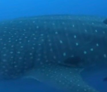 226ff8ce-4ef6-40cb-ac9b-10526d4e2e76