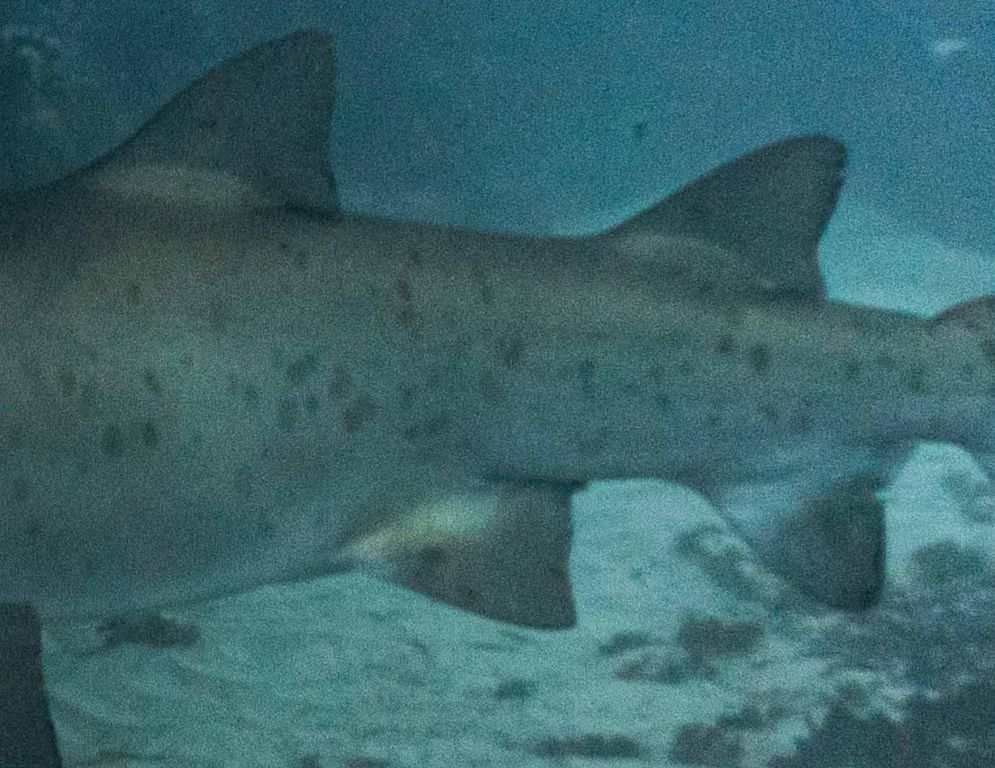 7be8614c-3a96-4458-87ea-97928cfdd489