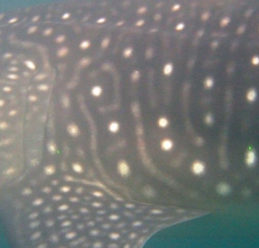 44264767-6736-4d25-8d68-c33173700999