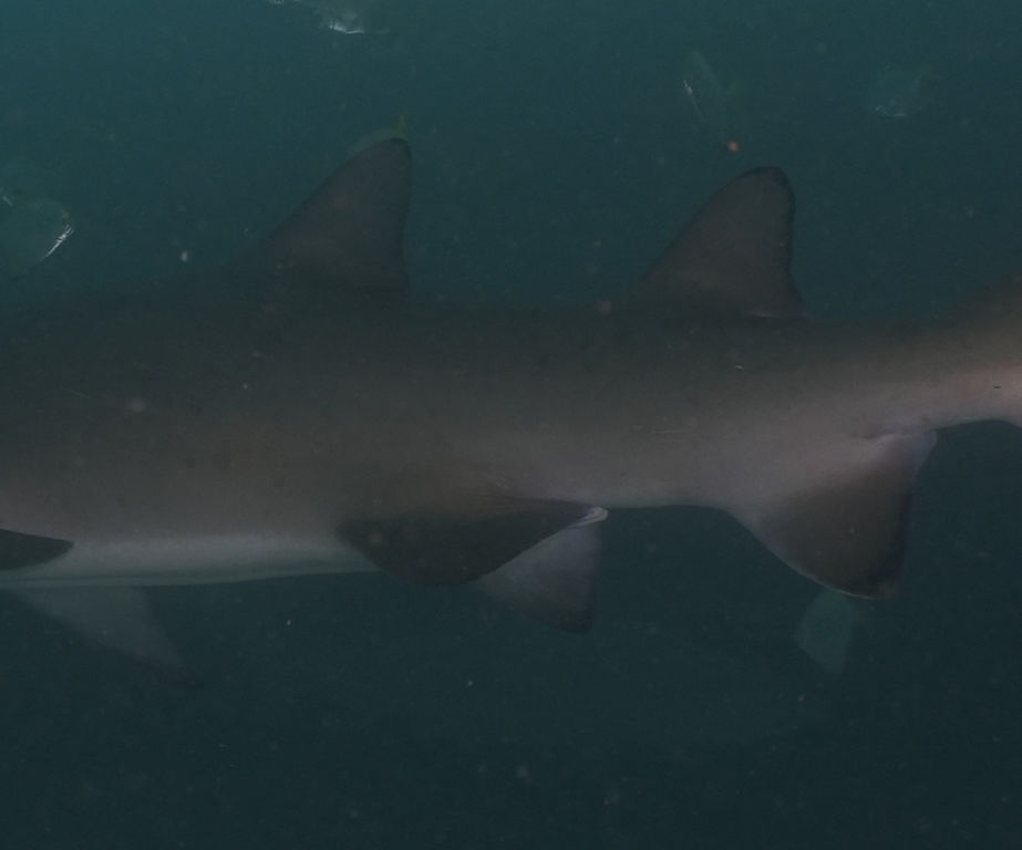 d70d8610-d18f-4019-a555-ffc0a204f972