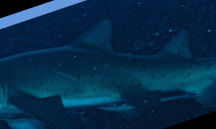 daee4caf-b665-4d4b-a54c-820ef706033d