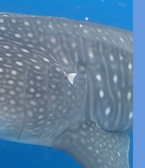 b3b81959-936d-4293-bebb-ae6b88d85747