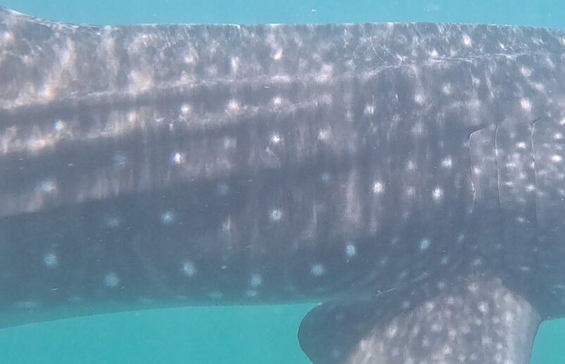 1502e3b5-6d69-4e3f-bee8-e7383e1b7c48