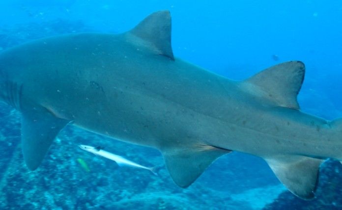 9c1f2418-1157-4364-a772-63e68e768e89