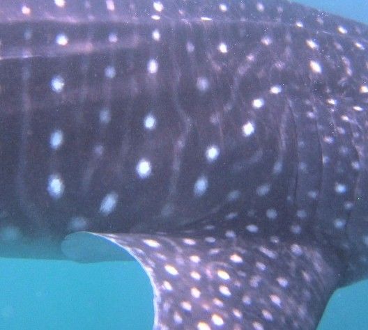 80060728-25cc-4186-a687-493d30c96411