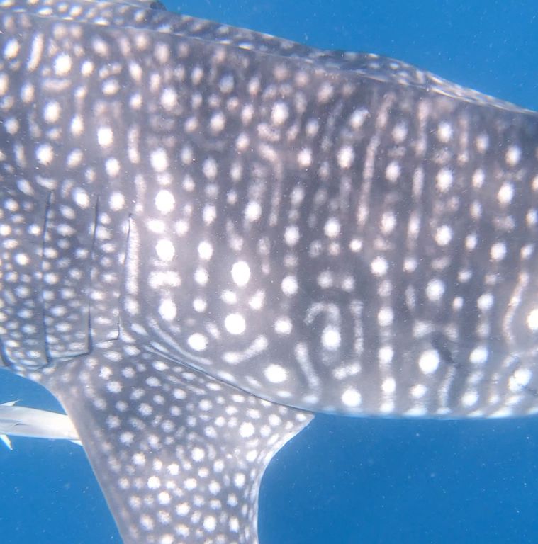 be0c8724-59c2-4630-9922-5fc4d0e01e33