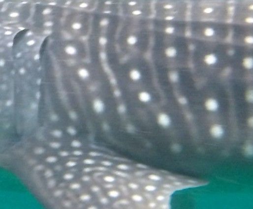 59b22537-2ce1-416f-966d-0ee453c7d9d0