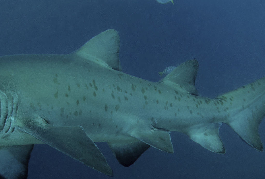 96d7f512-7941-4920-93a8-44ec41f9808d