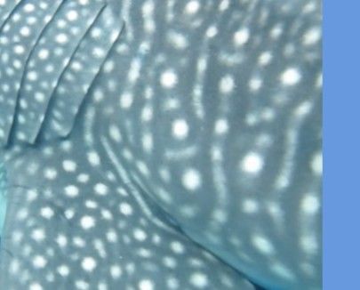 38675d63-761c-45f3-a303-9cd53a368f57