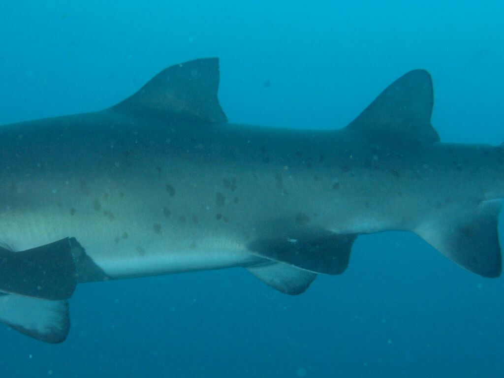 4408335d-d2b8-432f-8a8c-b6078269d914