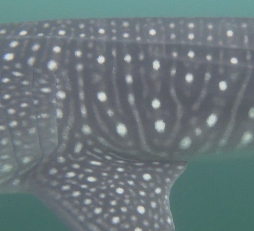 77ffe3e3-9d3e-4541-939f-5a58f8a02c47