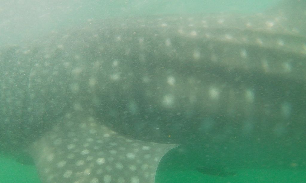 ab7dacb4-4e4c-4b41-9d15-d24e1cbbf3ef