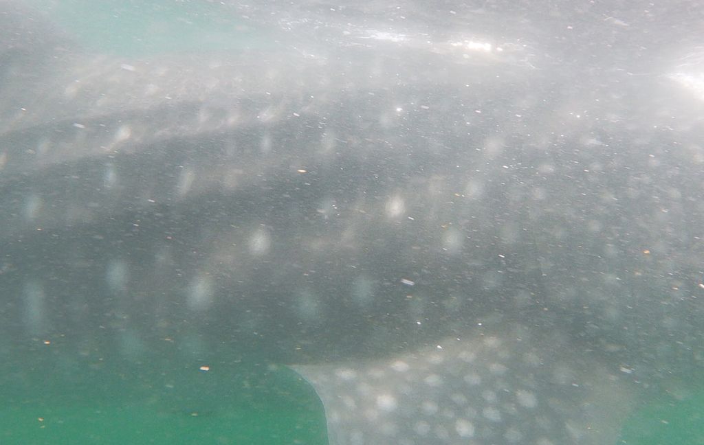 ab7dacb4-4e4c-4b41-9d15-d24e1cbbf3ef