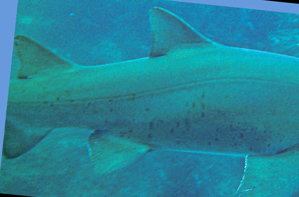 af85ed89-3720-4c85-b3c9-fc1d2b6489cb