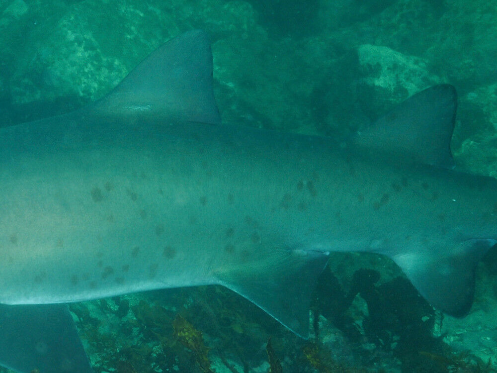 1d0b8d3d-486b-41f6-b132-e1b4aabeb965