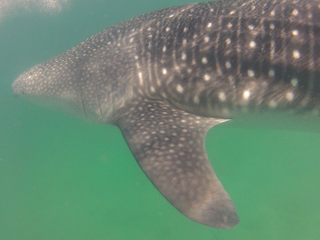 81882fa2-21fd-48cd-b97a-f433ac6e7726