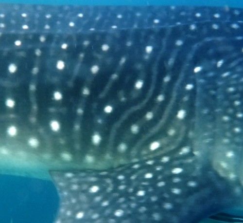 c57cda8f-9a94-4b24-b03a-4e1c16a224d9