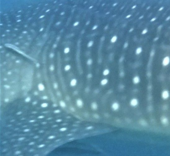 c57cda8f-9a94-4b24-b03a-4e1c16a224d9