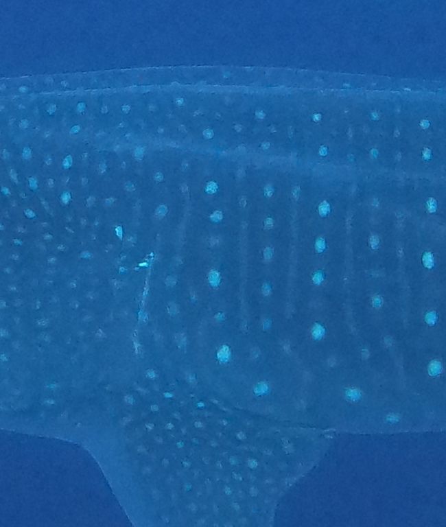 02bdf9e8-38c0-440f-a3fe-f61bca05eb08