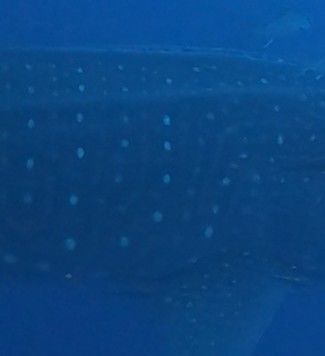 02bdf9e8-38c0-440f-a3fe-f61bca05eb08