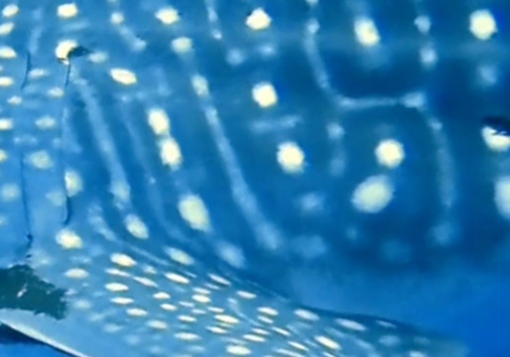 93ed239a-3fe9-4533-8f7e-04caadd57efd