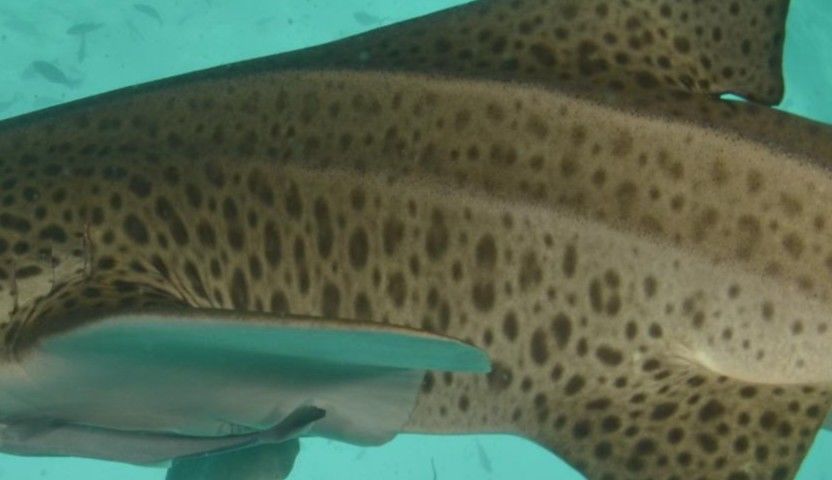 137f606e-4b5f-486a-bd64-57c123569d95