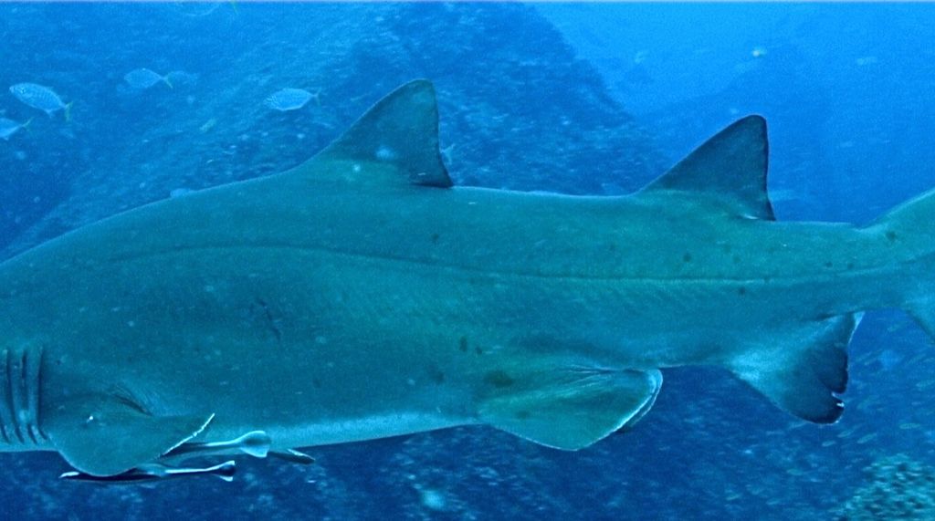 bf2e3d3c-c656-487e-b427-d841372d40b6