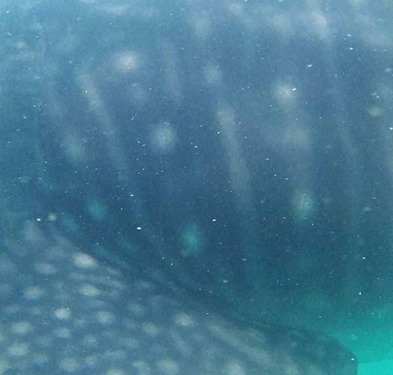 3da54d37-a122-4fcb-bd2c-160fe969b437