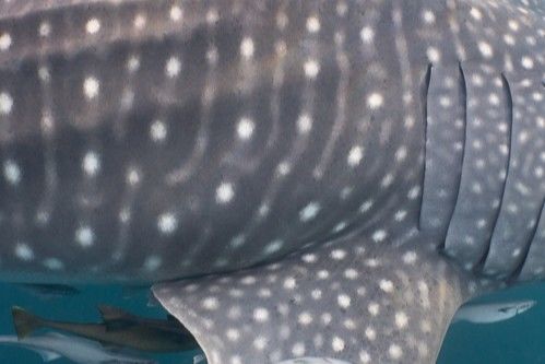 45594aa2-04bd-4a0b-9919-f27f2836024f