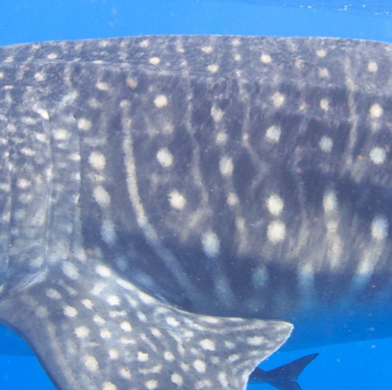 3ee46842-7129-4c2d-b31b-3fe962e2ddf7