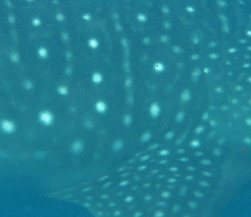 3a9143f9-0a6f-4458-a981-39446166b0a9