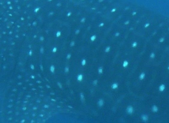 3a9143f9-0a6f-4458-a981-39446166b0a9