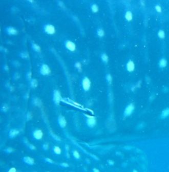 88a137af-012b-4089-b7ff-f1f66df626c8