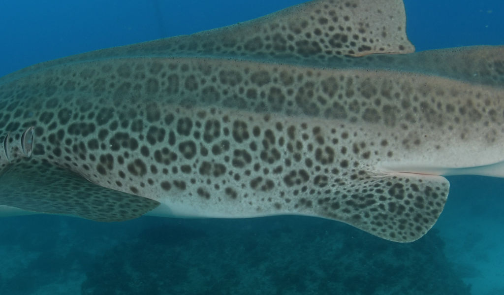 ea0926bf-1a46-426b-9391-f3c09d713f37