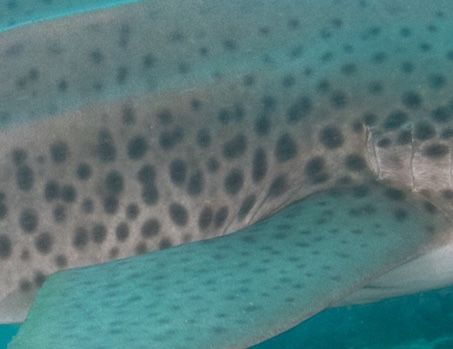 4726deb4-c84c-4f80-b9b4-df4d903ccf8a