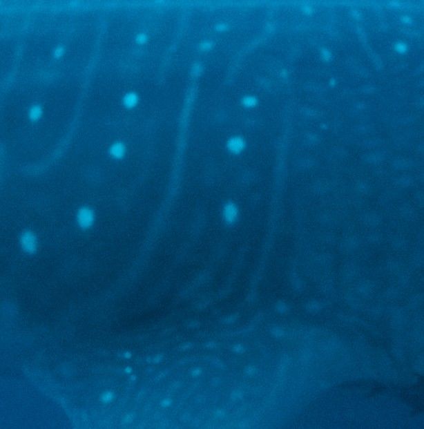 239f7753-fead-4f5d-b29e-697f480516c4