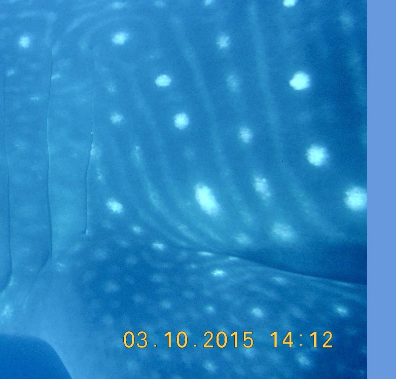 5e5b08d4-2f7a-4994-a03e-8bd15f16f983