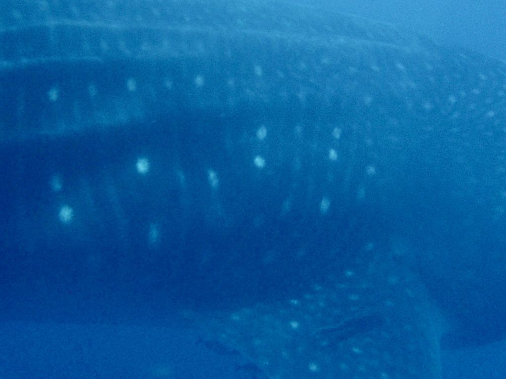 5e5b08d4-2f7a-4994-a03e-8bd15f16f983